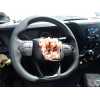 Recambio de volante para iveco 35s12 referencia OEM IAM 5802303938 34289401C 