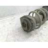 Recambio de amortiguador delantero izquierdo para nissan qashqai (j10) acenta referencia OEM IAM E4303BR20A 824903008006 54302BR