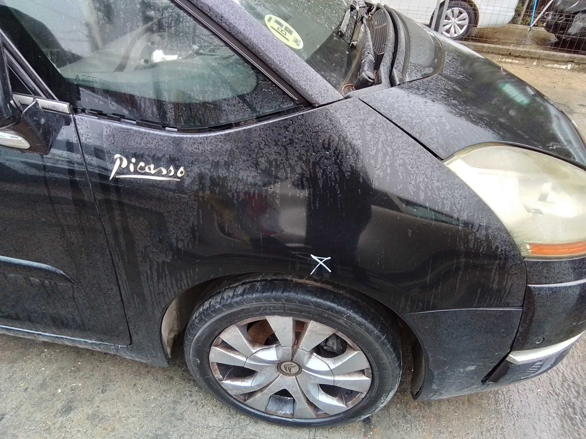 Recambio de aleta delantera derecha para citroën c4 picasso 2.0 hdi fap cat (rhr / dw10bted4) referencia OEM IAM   