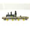 Recambio de rampa inyectora para fiat ulysse (179) 2.0 jtd básico referencia OEM IAM 014989 0445214017 BOSCH