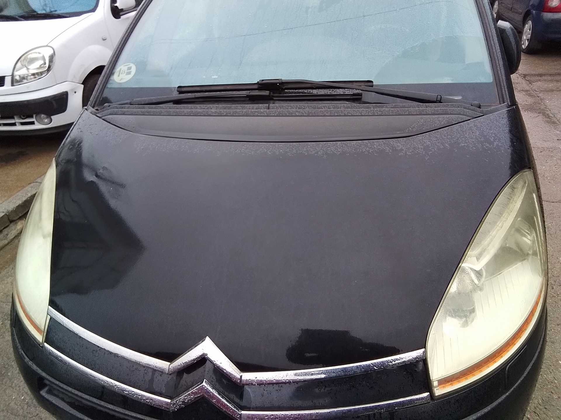 Recambio de capo para citroën c4 picasso 2.0 hdi fap cat (rhr / dw10bted4) referencia OEM IAM   