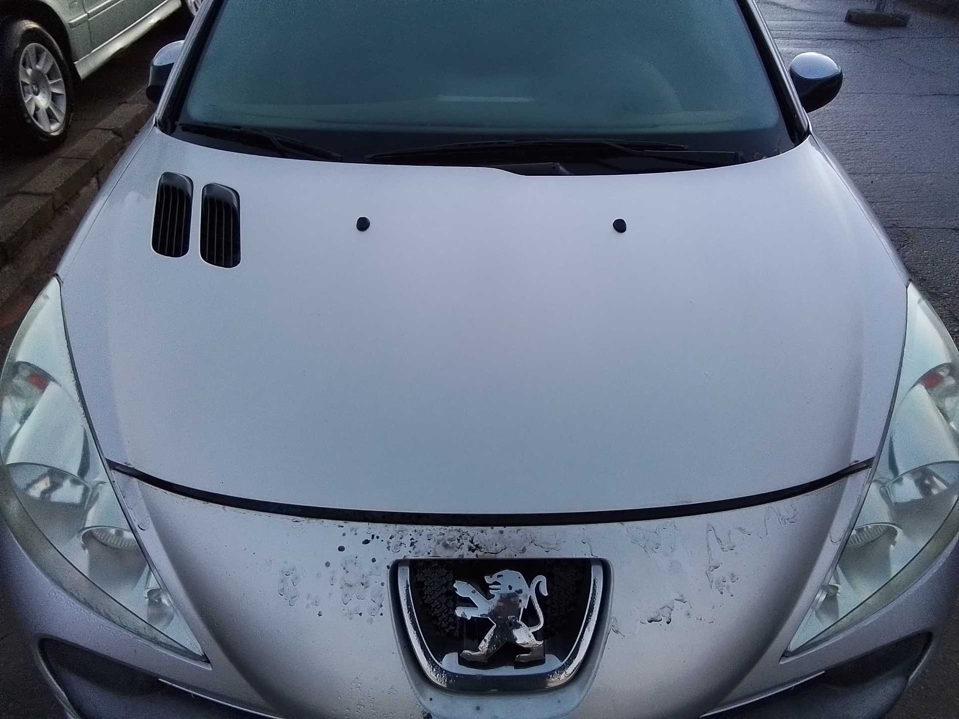 Recambio de capo para peugeot 206+ básico referencia OEM IAM   