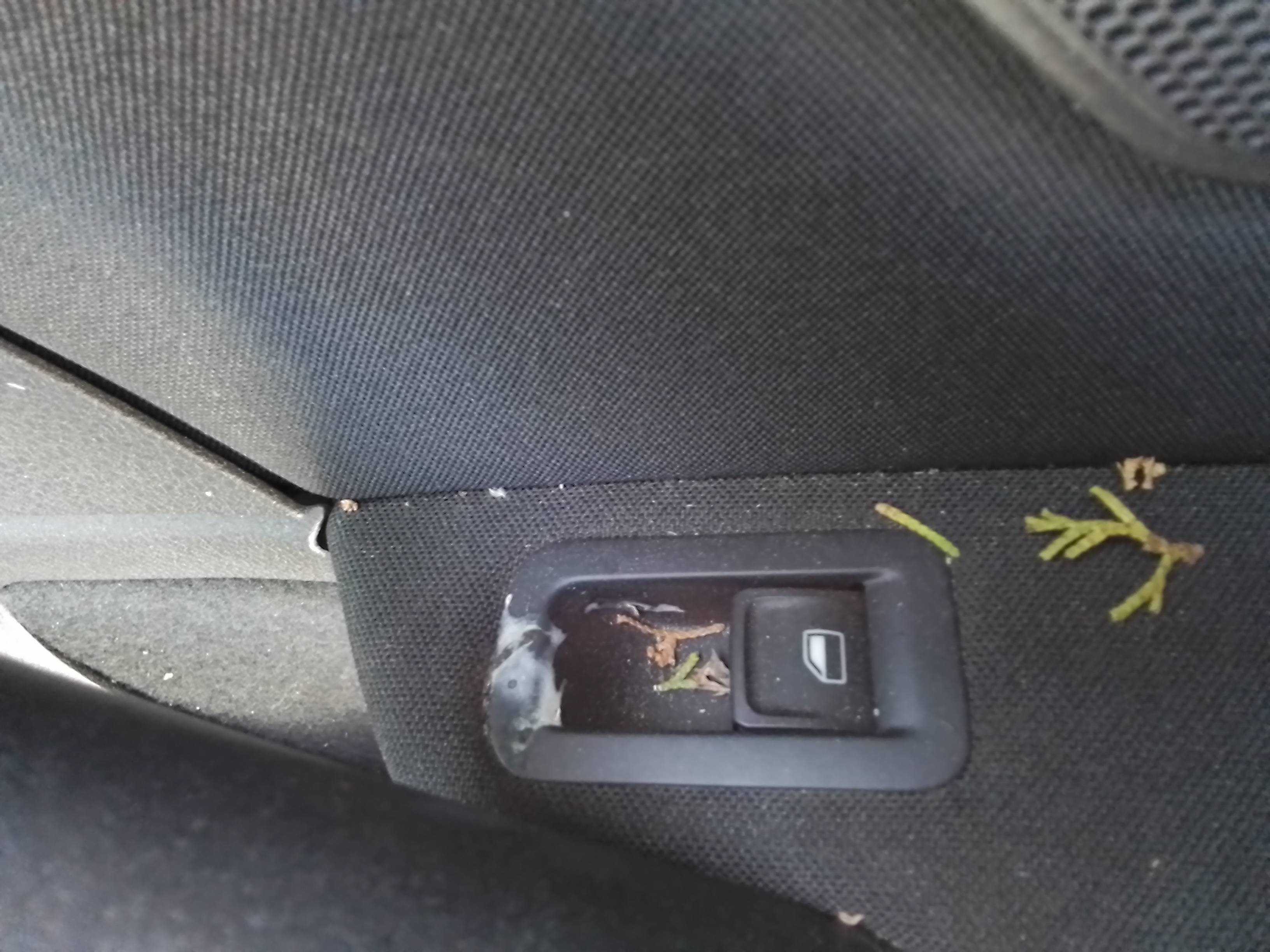 Recambio de mando elevalunas trasero derecho para volkswagen golf vii lim. (5g1) 1.6 tdi dpf referencia OEM IAM   