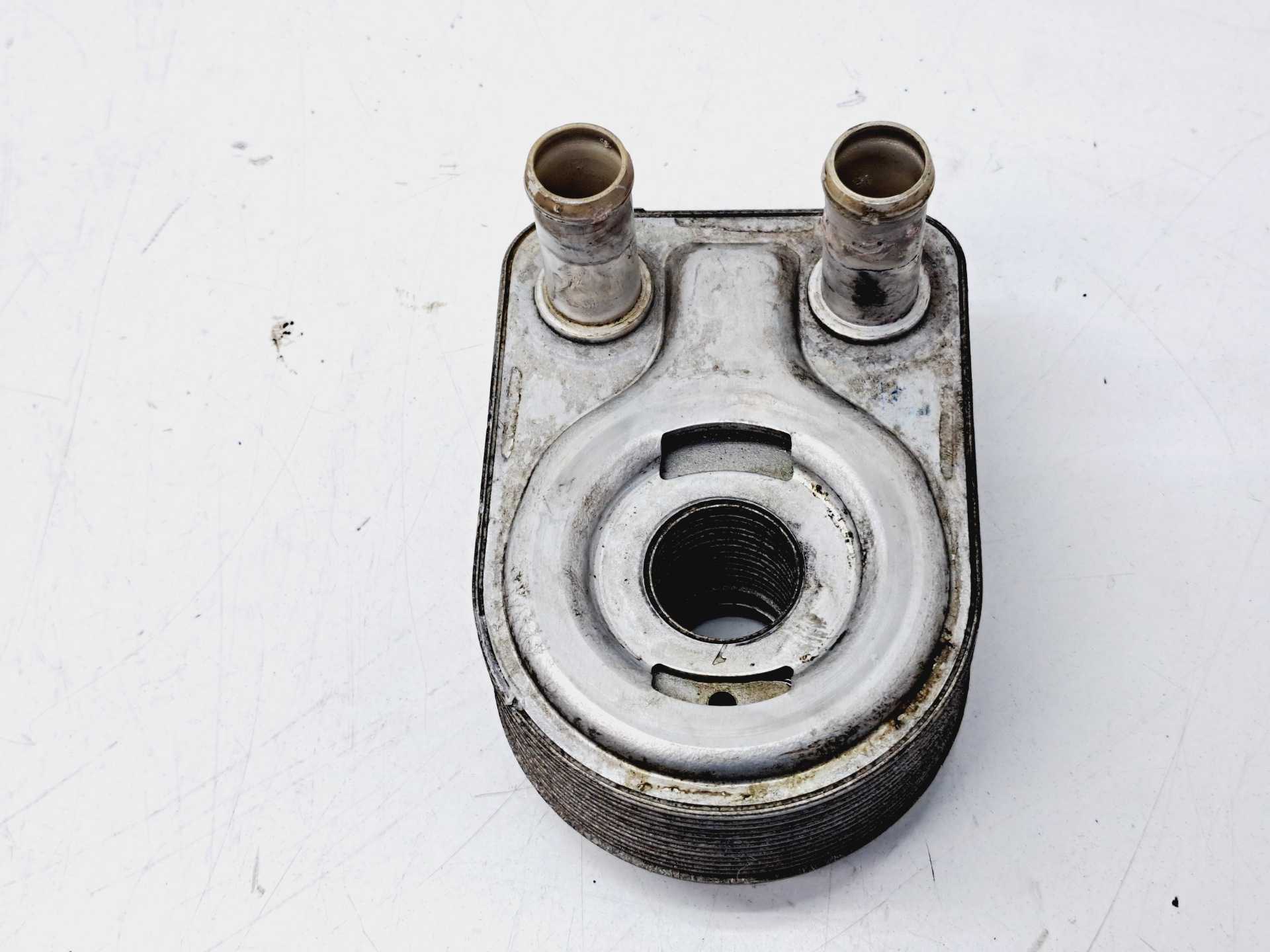 Recambio de enfriador aceite motor para ford focus lim. (cb8) edition referencia OEM IAM CM5G6B856EA  