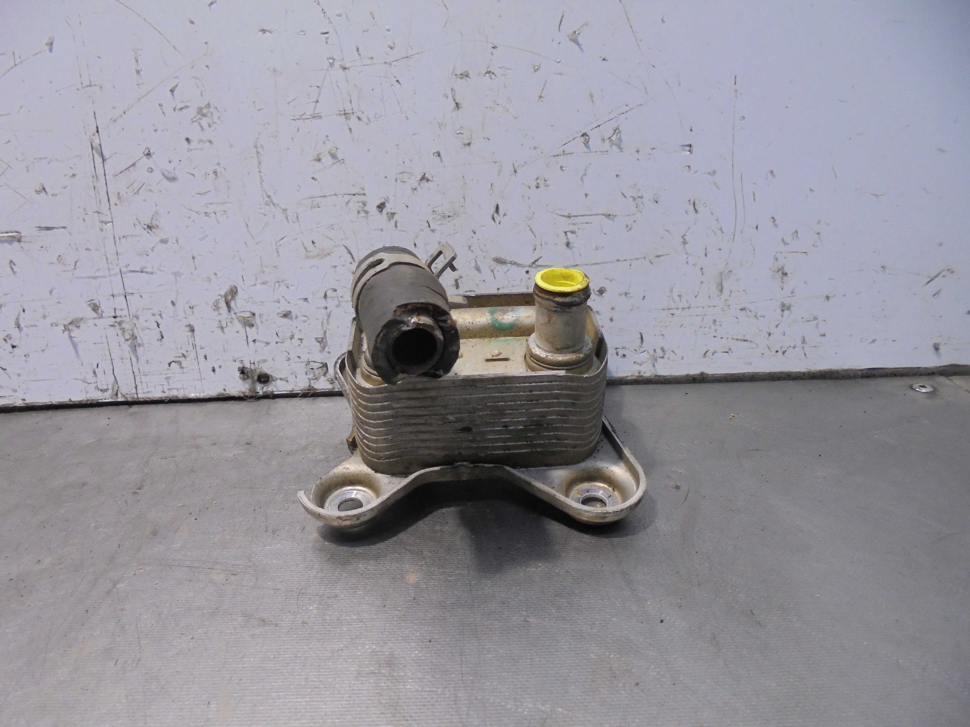 Recambio de enfriador aceite motor para ford focus berlina (cak) ambiente referencia OEM IAM XS4Q6A642AC  
