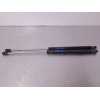 Recambio de amortiguadores maletero / porton para renault scenic ii authentique referencia OEM IAM   