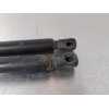 Recambio de amortiguadores maletero / porton para renault scenic ii authentique referencia OEM IAM   