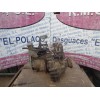 Recambio de caja cambios para skoda octavia berlina (1u2) 1.9 tdi glx referencia OEM IAM EGR  