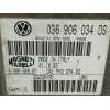 Recambio de centralita motor uce para seat toledo (1m2) executive referencia OEM IAM 036906034DS 6160066907 