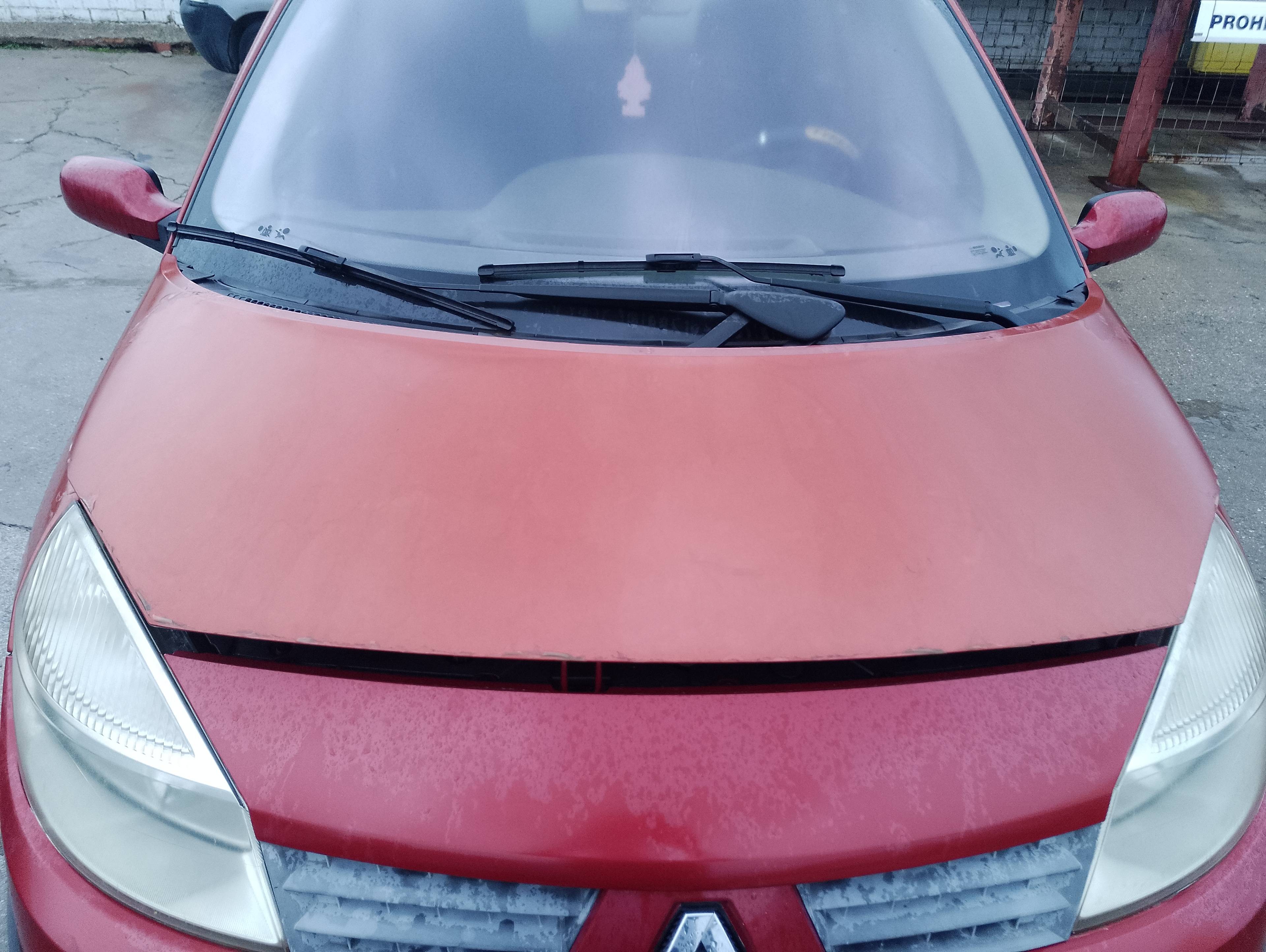Recambio de capo para renault scenic ii 1.5 dci diesel referencia OEM IAM   