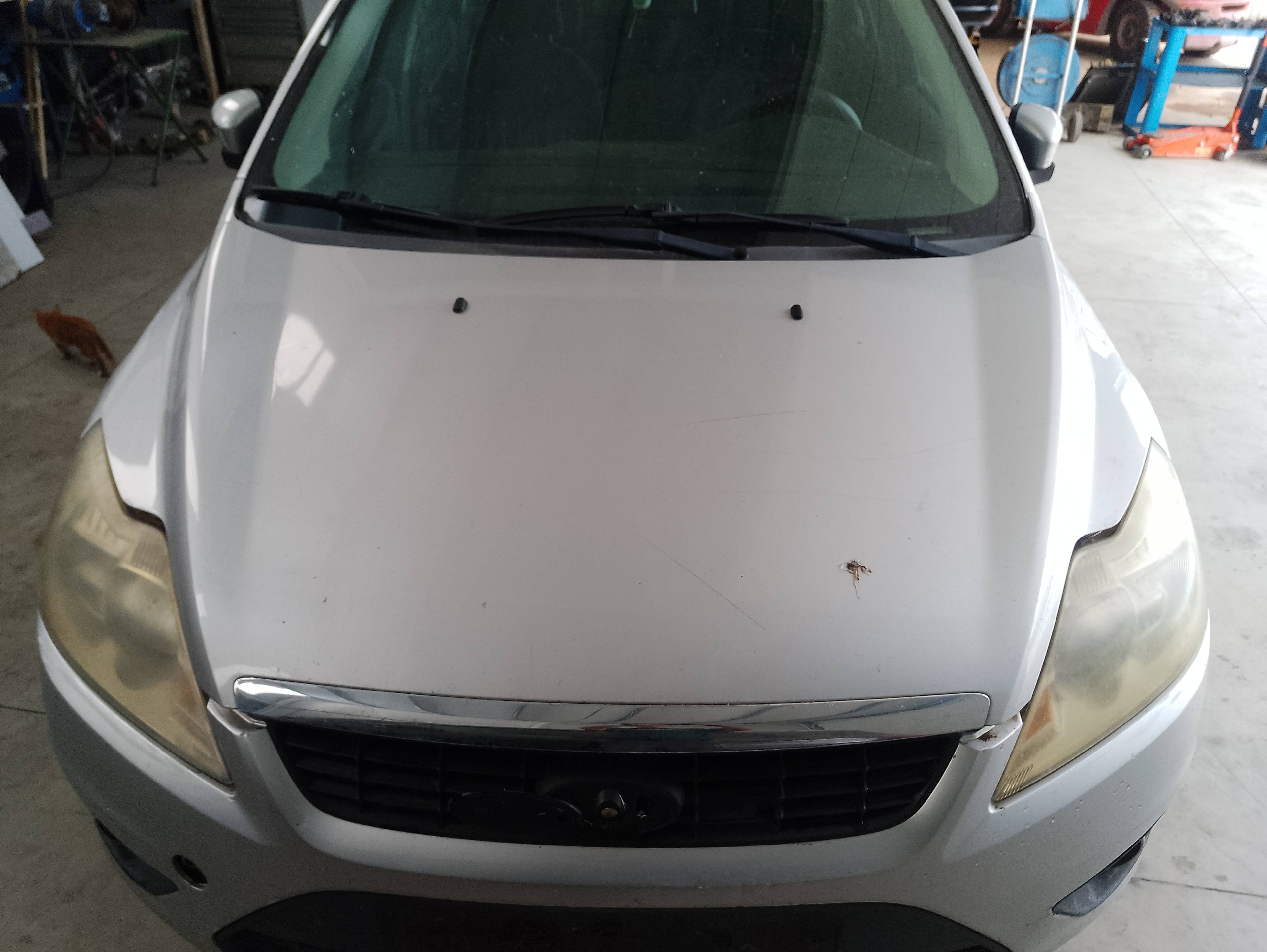 Recambio de capo para ford focus turnier (cb4) business referencia OEM IAM   