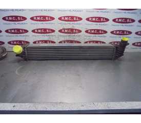 INTERCOOLER 144610001N 