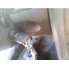 Recambio de conmutador de arranque para audi a4 berlina (8e) 2.0 referencia OEM IAM   