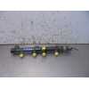 Recambio de rampa inyectora para kia carnival ii 2.9 cdri ex referencia OEM IAM   