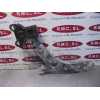 Recambio de brazo suspension inferior delantero derecho para ford focus trend referencia OEM IAM   