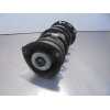 Recambio de amortiguador delantero derecho para audi a3 sportback (8vf) 30 tdi design referencia OEM IAM 5Q0413023  