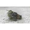 Recambio de valvula egr para fiat punto (evo) (199) dynamic referencia OEM IAM 5027643201  