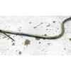 Recambio de varilla aceite para nissan terrano ii (r20) 2.7 tdi 4wd referencia OEM IAM   