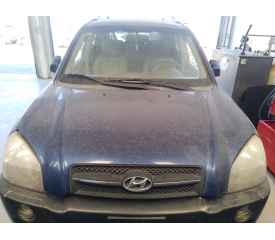 CAPOT DELANTERO 664002E020 