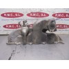 Recambio de colector admision para chevrolet epica 2.0 diesel cat referencia OEM IAM 96440381  