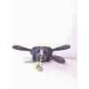 Recambio de mando luces/intermitencia (com2000) para peugeot 307 (s1) xs referencia OEM IAM 96605654 xt  