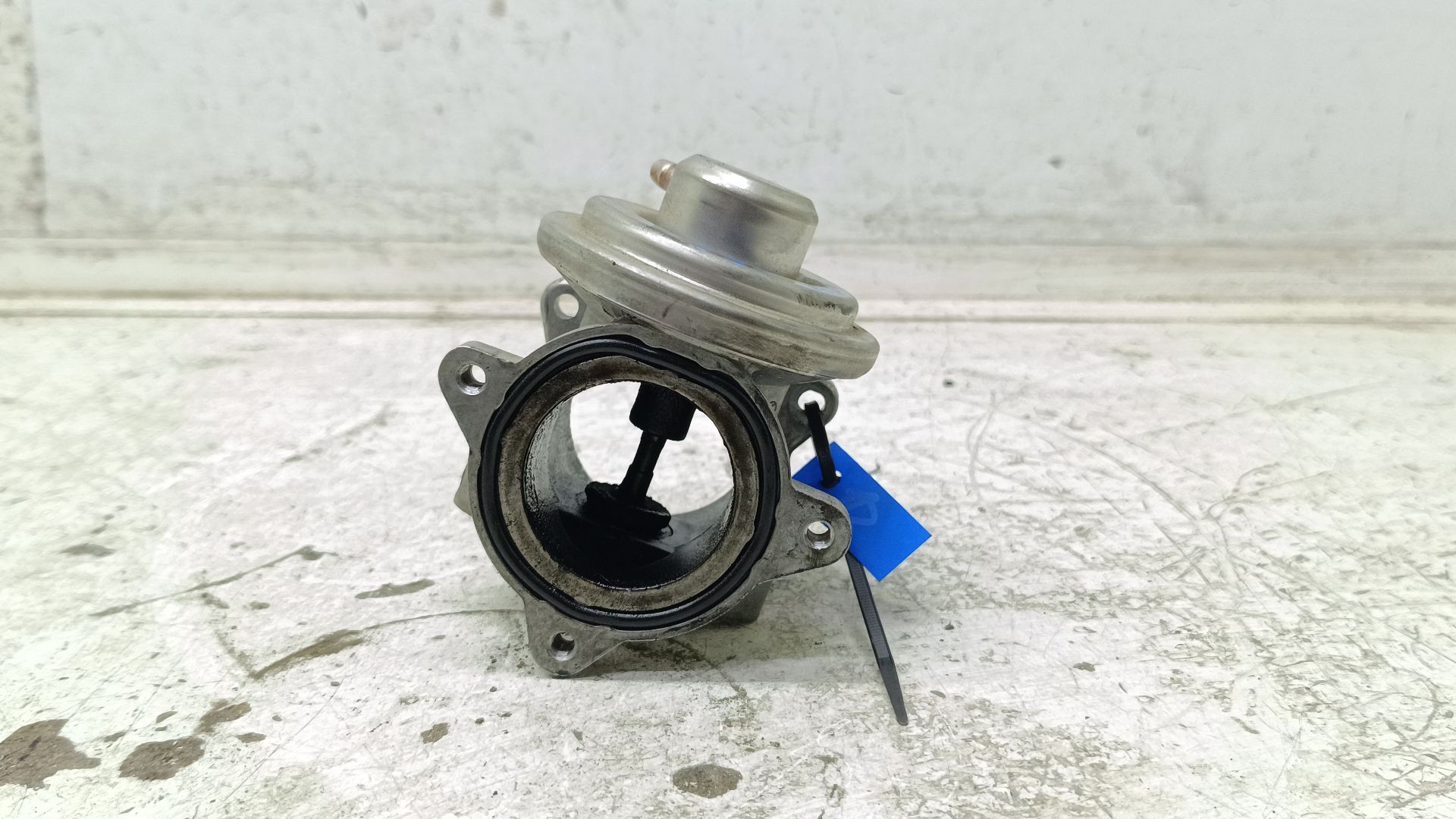 Recambio de valvula egr para seat ibiza iii (6l1) 1.4 tdi referencia OEM IAM 175003005 045131501K 