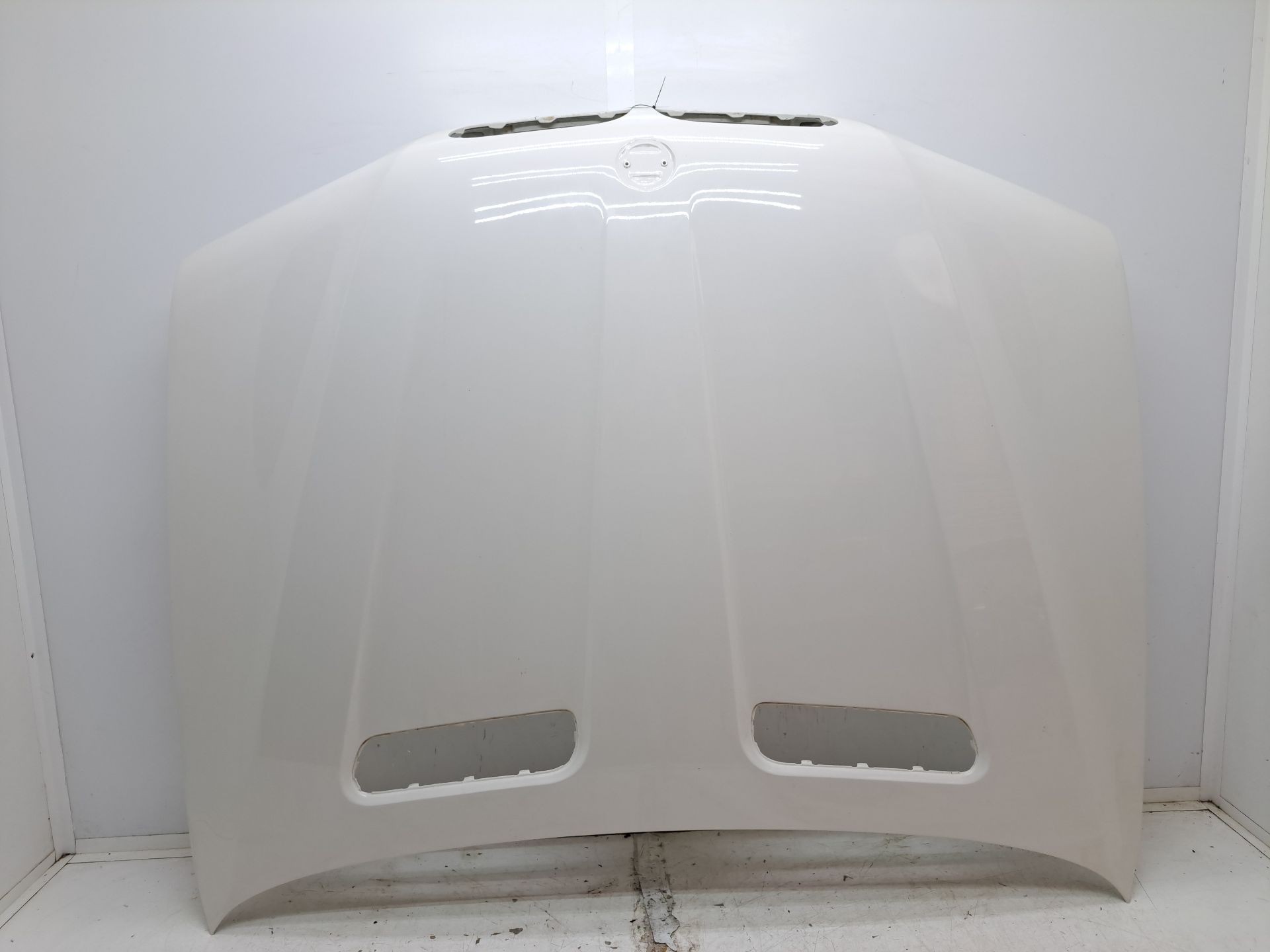 Recambio de capo para bmw x5 (e53) referencia OEM IAM   