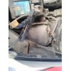 Recambio de caja reles / fusibles para renault clio iii confort dynamique referencia OEM IAM   