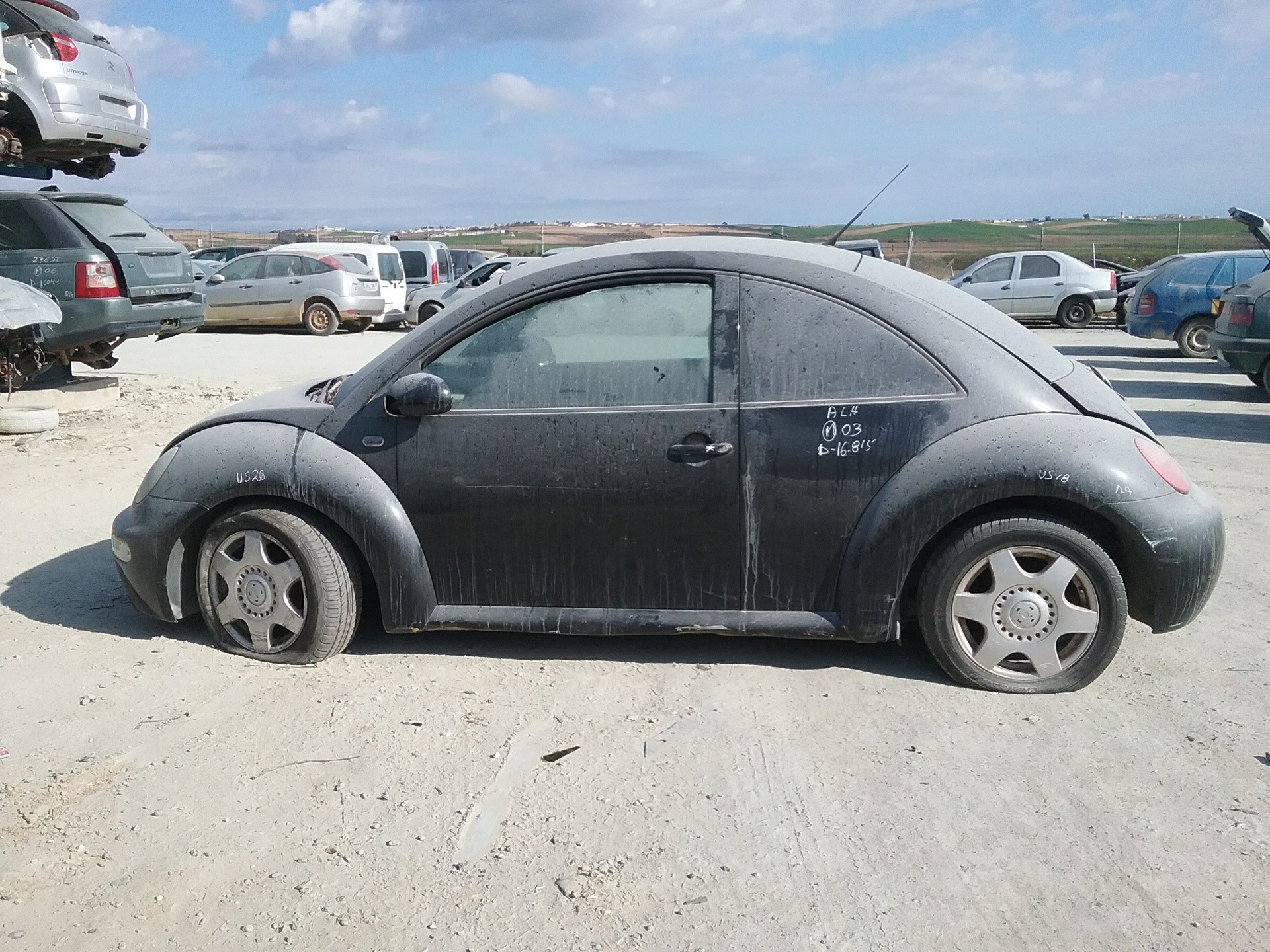 volkswagen new beetle (9c1/1c1) del año 2003
