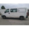 fiat ducato combi (desde 03.94) del año 1999