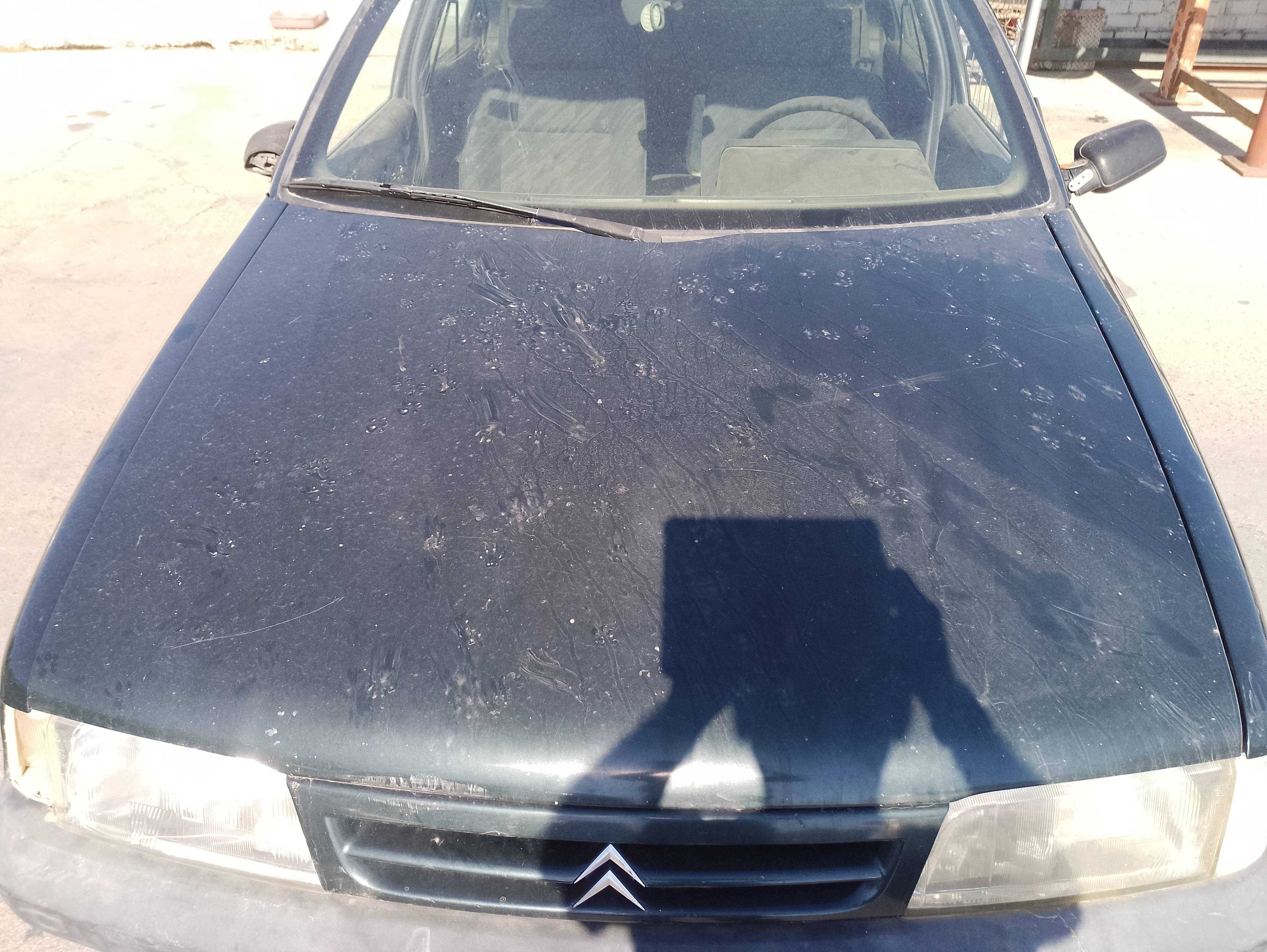 Recambio de capo para citroën zx (n2) 1.9 d referencia OEM IAM   