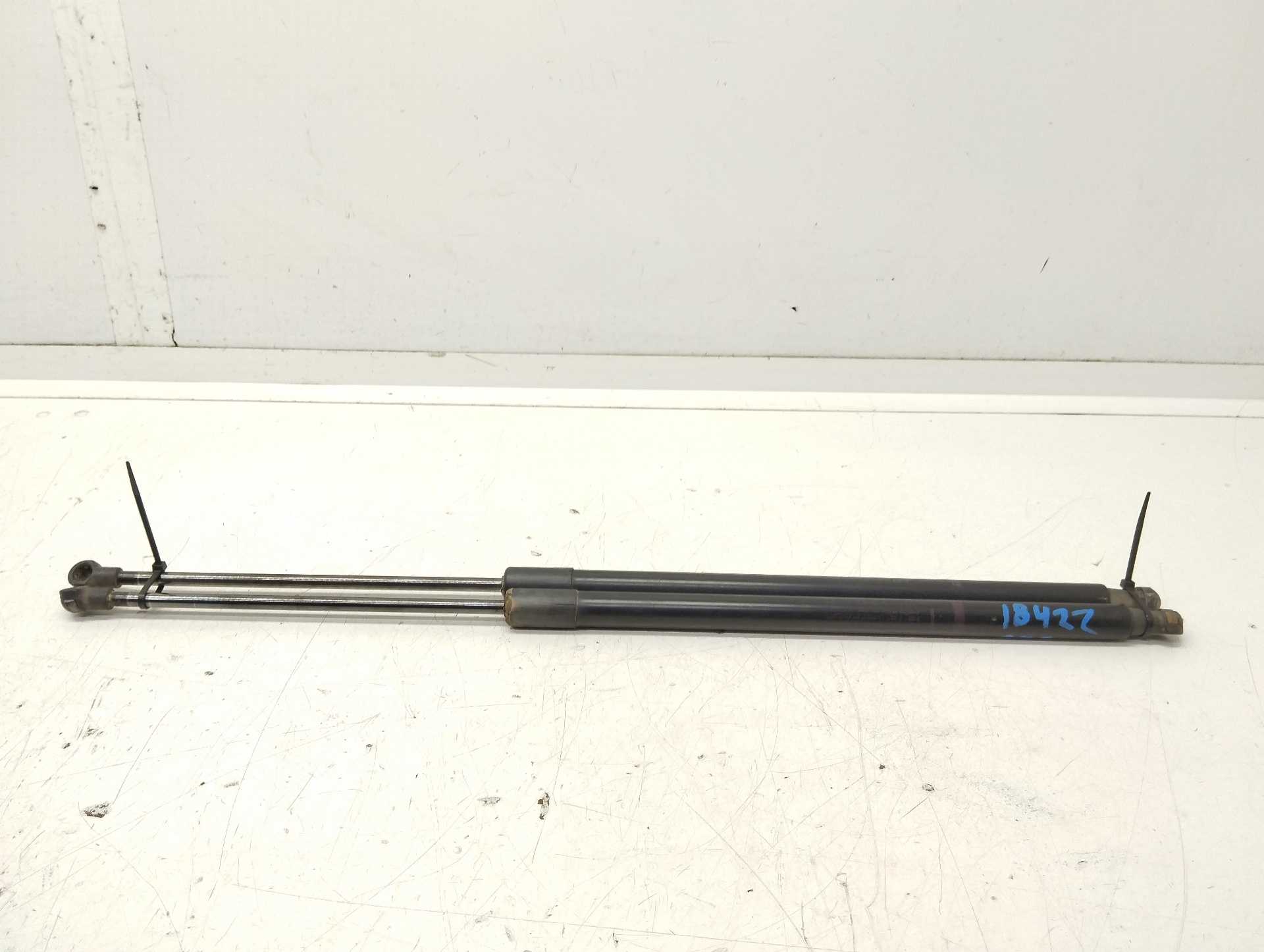 Recambio de amortiguadores maletero / porton para nissan x-trail (t30) referencia OEM IAM 90450JG400  