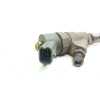 Recambio de inyector para citroën jumpy 2.0 hdi sx furg. referencia OEM IAM 9641742880Y 0445110076 