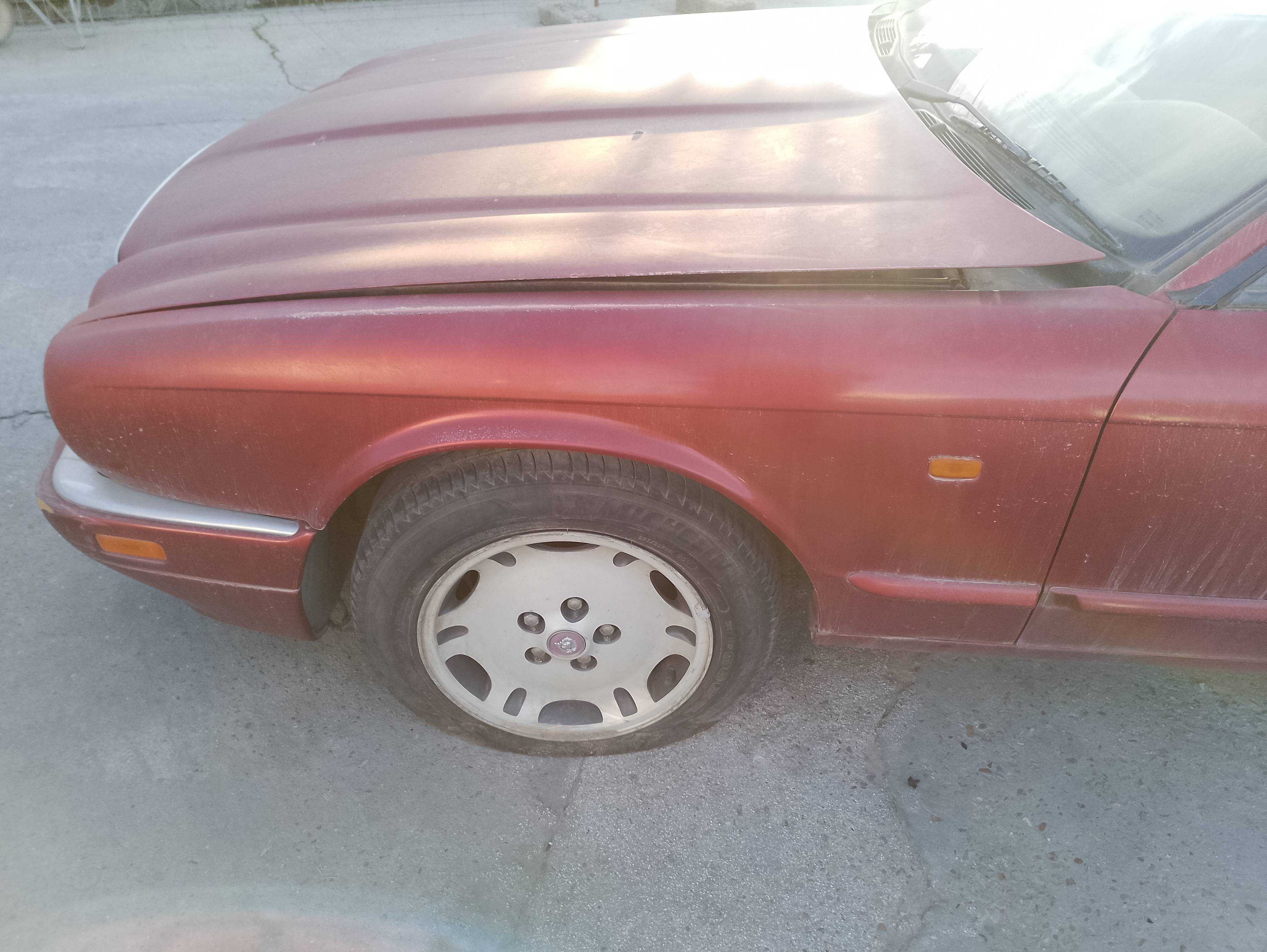 Recambio de aleta delantera izquierda para jaguar xj6/12 3.2 xj sport referencia OEM IAM   