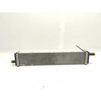 RADIADOR AGUA 214108020R 