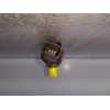 Recambio de rampa inyectora para ford fiesta (cbk) ambiente referencia OEM IAM 9654592680  