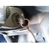 Recambio de conmutador de arranque para dacia sandero iii essential referencia OEM IAM 487008966R  