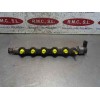 Recambio de rampa inyectora para nissan x-trail (t31) le referencia OEM IAM   