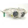 Recambio de faro derecho para smart fort. c referencia OEM IAM 0301169202  
