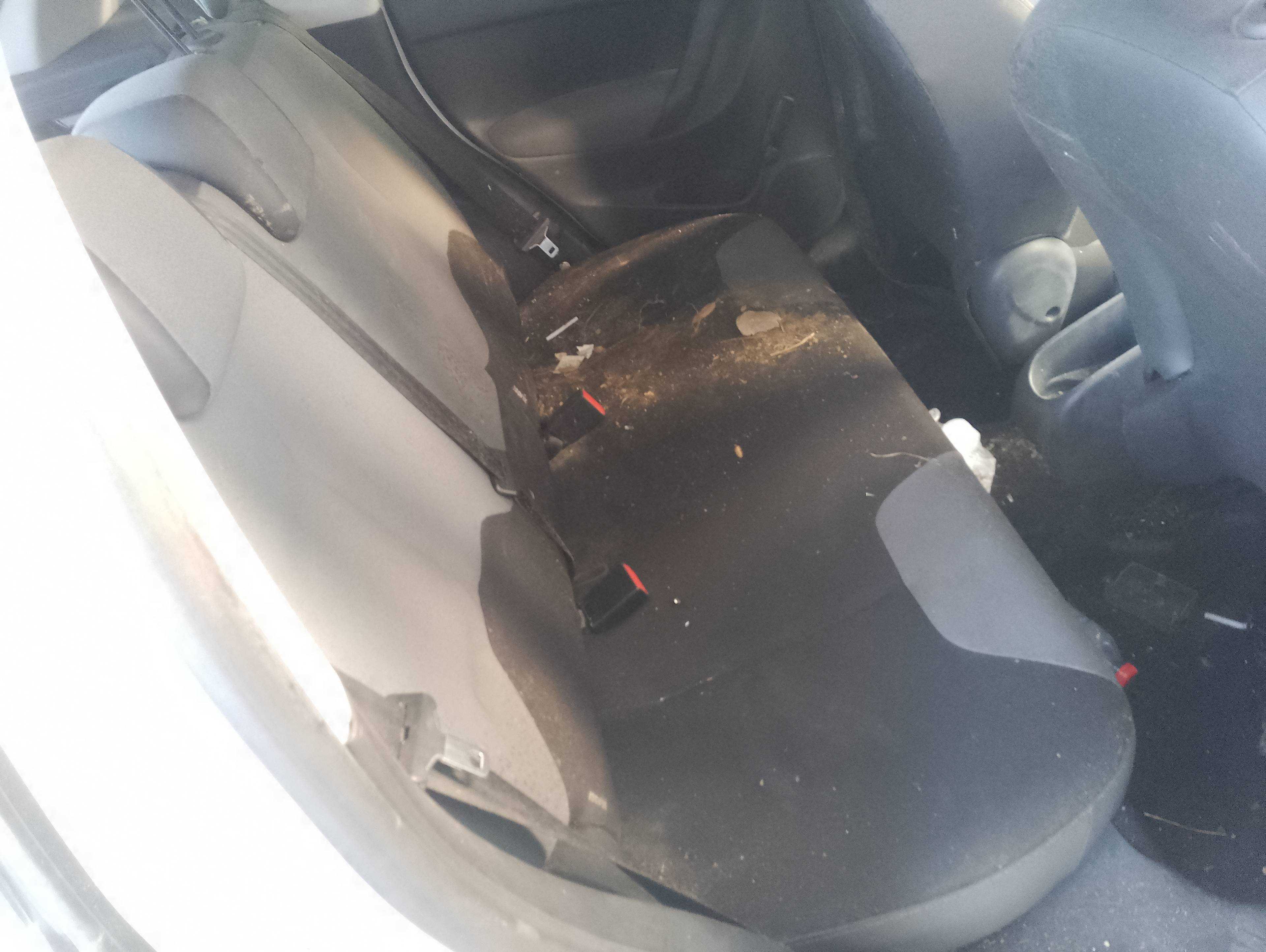 Recambio de asientos traseros para citroën c3 attraction referencia OEM IAM   