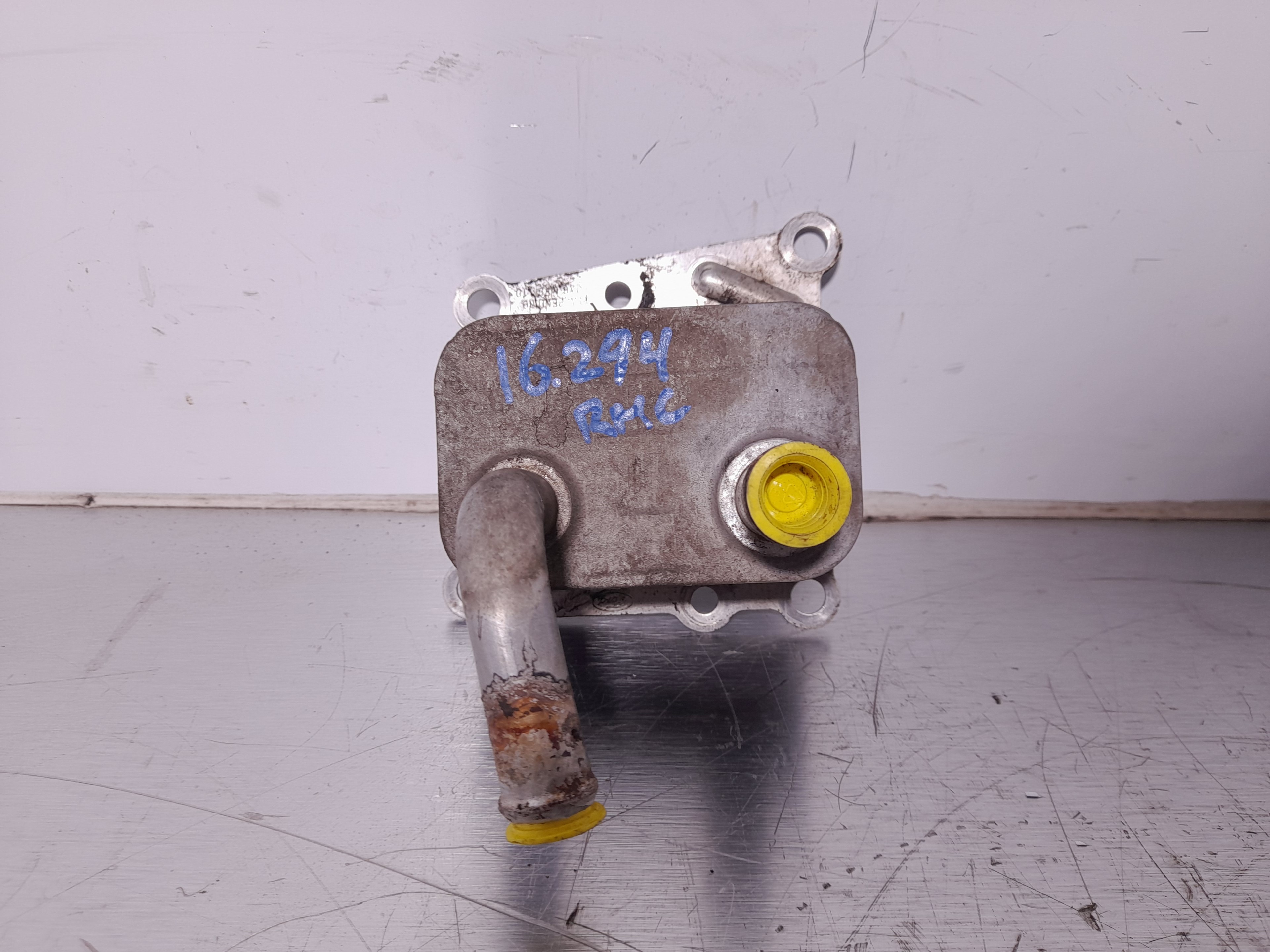 Recambio de enfriador aceite motor para ford focus berlina (cak) ambiente referencia OEM IAM   