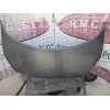 Recambio de capo para renault scenic ii 1.9 dci diesel referencia OEM IAM   
