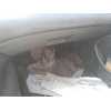 Recambio de guantera para bmw serie 3 berlina (e46) 320d referencia OEM IAM   