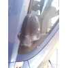 Recambio de espejo retrovisor derecho para chevrolet aveo / kalos hatchback (t250, t255) 1.4 referencia OEM IAM 96406191  