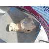 Recambio de diferencial delantero para mercedes-benz clase m (w163) 320 (163.154) referencia OEM IAM   