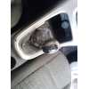 Recambio de palanca cambio para opel astra j (p10) 1.7 cdti (68) referencia OEM IAM 55563829  