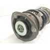 Recambio de amortiguador delantero derecho para seat leon (5f1) i-tech referencia OEM IAM 5Q0413023FM  