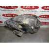 Recambio de faro derecho para renault kangoo (f/kc0) alize referencia OEM IAM 8200236591  