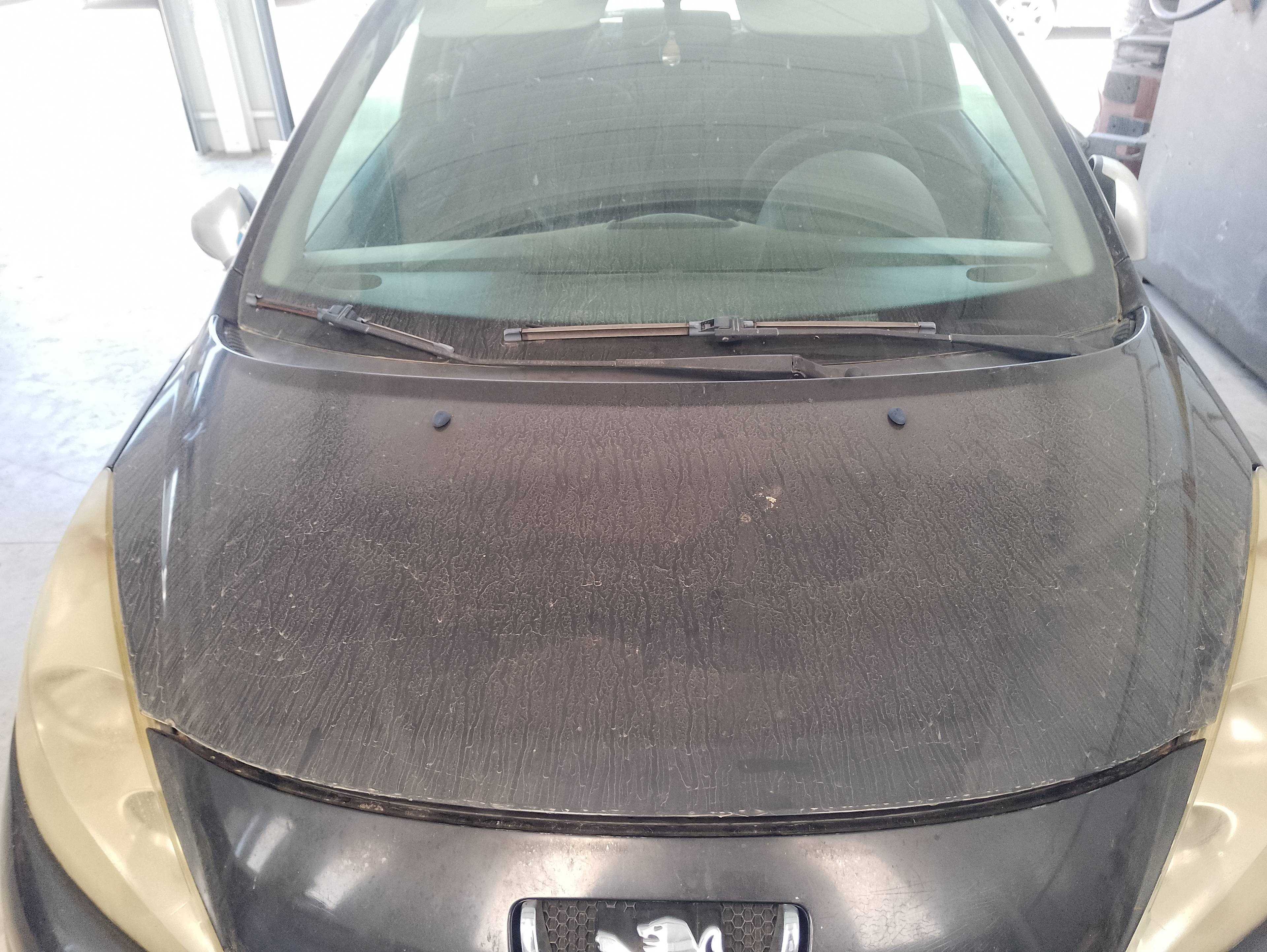 Recambio de capo para peugeot 207 urban referencia OEM IAM   