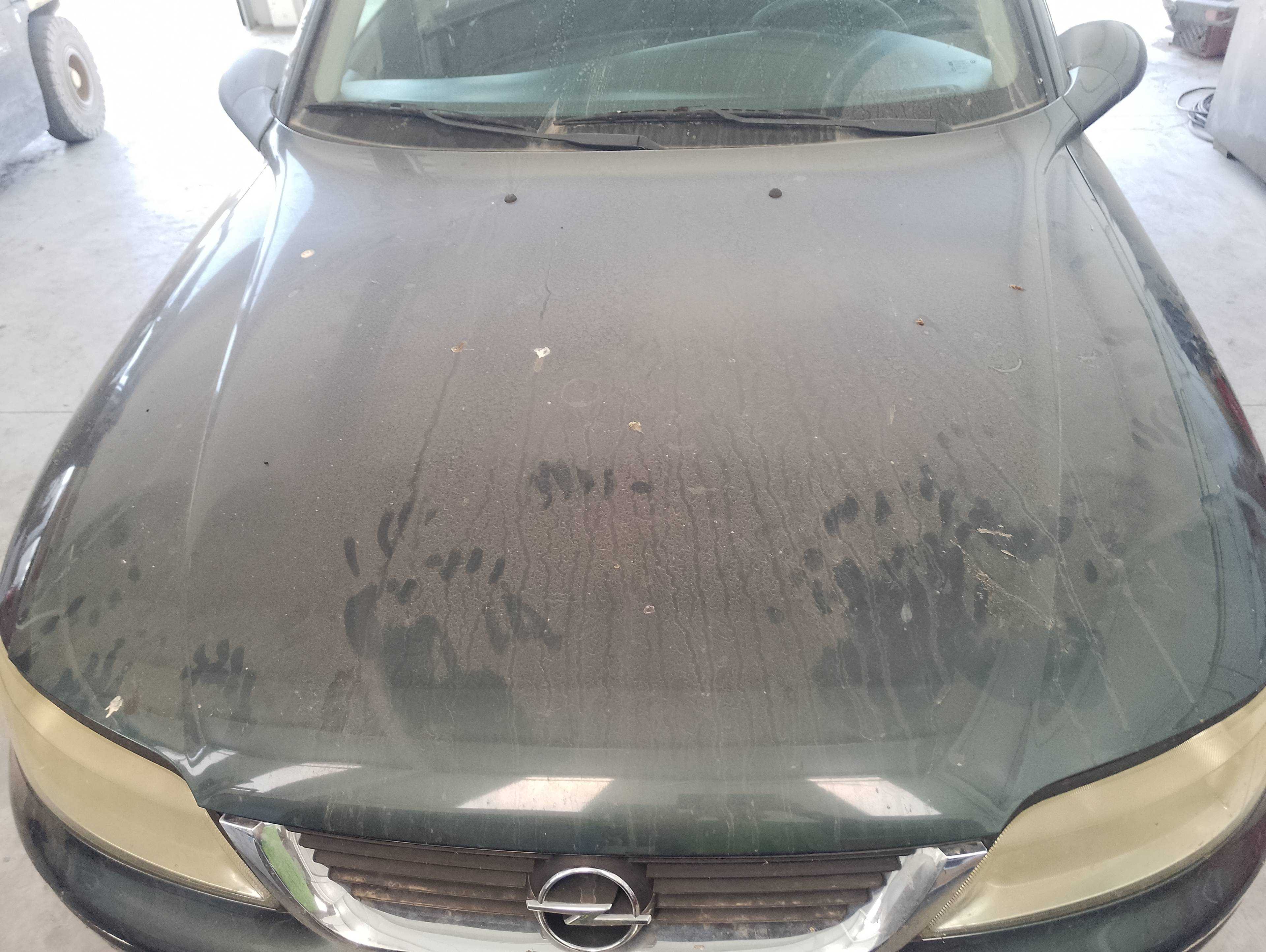 Recambio de capo para opel vectra b berlina básico referencia OEM IAM   
